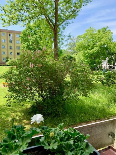 Apartman Snyt Primka Olomouc Eksteriør billede